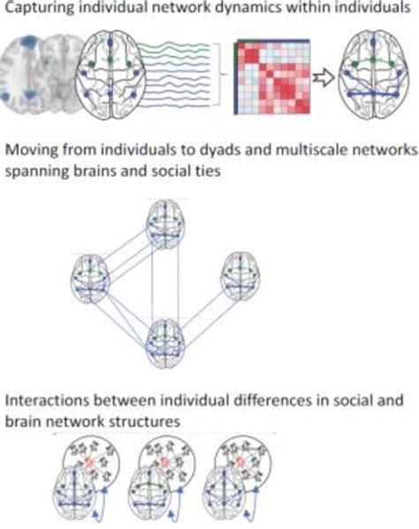 Brain and Social Networks: Fundamental Building Blocks of .